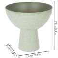 Skål med stativ til planter, dekorativ skål, 25 cm | Floristik24.dk
