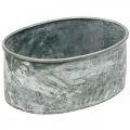 Dekorativ skål metalfatning skål oval grå L22,5/19,5/16cm sæt med 3 stk.