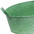 Floristik24 Zink skål med håndtag Oval prikket grøn, hvidvasket 39,5x18cm H14cm
