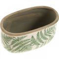 Floristik24 Planteskål bregne stentøj oval keramik krukke 20×10×13,5cm 2 stk.