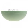 Floristik24 Dekorativ skål grøn pastel plast bordpynt fjeder Ø20cm