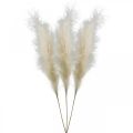 Floristik24 Feather Grass Creme kinesisk siv kunstigt tørt græs 100 cm 3 stk.