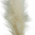 Floristik24 Feather Grass Creme kinesisk siv kunstigt tørt græs 100 cm 3 stk.