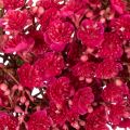 Kunstig blomsterkrans, babyåndedekoration, 30 cm | Floristik24.dk