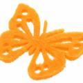 Floristik24 Filt sommerfuglbord dekoration gulgrøn orange assorteret 3,5x4,5 cm 54 stk