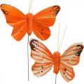 Floristik24 Dekorative sommerfugle, blomsterpropper, forårssommerfugle på tråd gul, orange 4×6,5cm 12stk.
