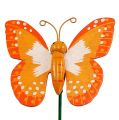 Floristik24 Dekorativ stik sommerfugl orange 6,5 cm 24stk