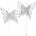 Floristik24 Sommerfugle med perler og glimmer, bryllupsdekorationer, fjerfugle på hvid tråd