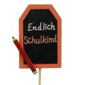 Floristik24 Tilbage til skolen dekorativt stik “Endelig skolebarn” træ 7×5,5cm 16stk