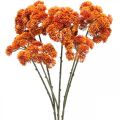 Floristik24 Sedum kunstig sedum orange efterårsdekoration 70cm 3stk