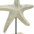 Floristik24 Søstjerner lavet af træ, dekorativ skulptur maritime, havdekoration naturlige farver, hvid H28cm