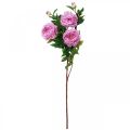 Floristik24 Silkeblomstpæon kunstig pink violet 135cm