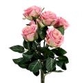 Floristik24 Silkeblomster steg Ø7cm L37cm mørk pink 6stk