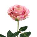 Floristik24 Silkeblomster steg Ø7cm L37cm mørk pink 6stk