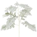 Floristik24 Kunstig Senecio-gren, sølvblad, detaljeret udført, 45 cm, 3 stk.