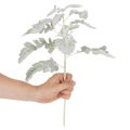 Kunstig Senecio-gren, sølvblad, detaljeret udført, 45 cm, 3 stk. | Floristik24.dk