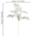Kunstig Senecio-gren, sølvblad, detaljeret udført, 45 cm, 3 stk. | Floristik24.dk