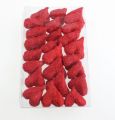 Floristik24 Sisal hjerter 5-6 cm rød 24p