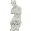 Floristik24 Venus statue dekorativ skulptur H29cm gråbrun dekorativ figurhave