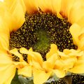 Kunstig solsikke med realistiske blade og blomster, 58 cm, 3 stk. | Floristik24.dk
