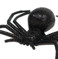 Floristik24 Spider sort 16cm med glimmer