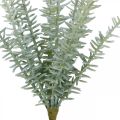 Floristik24 Sprengerie Prydasparges Kunstige Planter Grøn 23cm 4stk