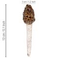 Kunstig morkel-svampe dekorativ pæl til urtepotter og bord, 13 cm, 2 stk. | Floristik24.dk