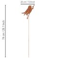 Fuglepæl til have, dekorativ pæl af rusten metal, 52 cm | Floristik24.dk