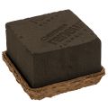 Floristik24 Blomsterskum 1/2 mursten OASIS® Renewal® Biolit® 12 cm 2 stk.