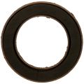 Floristik24 Blomsterskumring OASIS® Renewal® Biolit® 40 cm 2 stk.