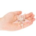 Dekorative stjernepynt, iriserende klar akryl, juletræspynt, 9 cm, 6 stk. | Floristik24.dk
