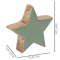 Træstjernedekorationssæt til bord og vindueskarm, 5 cm, 9 dele | Floristik24.dk