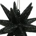 Floristik24 Julepynt stjerner til at hænge op sort Ø7,5cm 8stk