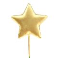 Floristik24 Stjerne på wire 4cm guld 60stk