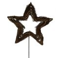 Floristik24 Stjerne lavet af vinstok natur 65cm på pinden L160cm