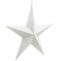 Floristik24 Glitterstjerner til at hænge hvid Ø21cm 3stk