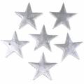 Floristik24 Dekorative stjerner sølv 4cm 12stk