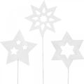 Floristik24 Blomsterstikstjerner, advent, blomsterdekoration, træstjerner natur, hvid, guldglitter L27 / 28,5cm 18stk