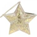 Floristik24 Dekorativt stjernemetal til ophængning og dekoration af Golden Ø13cm