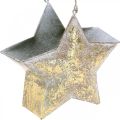 Floristik24 Dekorativt stjernemetal til ophængning og dekoration af Golden Ø13cm