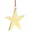 Floristik24 Guldstjerne, adventsdekoration, dekorationsvedhæng til jul 12×13cm 2stk