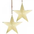Floristik24 Guldstjerne, adventsdekoration, dekorationsvedhæng til jul 12×13cm 2stk