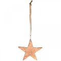 Floristik24 Kobberstjerne til at hænge, juletræspynt, metal vedhæng 8 × 9cm 2stk