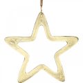 Floristik24 Julevedhæng, stjernedekoration til advent, dekorationsstjerne gylden 14 × 14cm