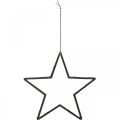 Floristik24 Julepynt stjernevedhæng sort glitter 17,5cm 9stk