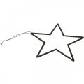 Floristik24 Julepynt stjernevedhæng sort glitter 17,5cm 9stk