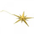 Floristik24 Julepynt stjernevedhæng gylden B11,5cm 16stk