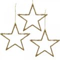 Floristik24 Glitterstjerner, adventspynt, stjernepynt til at hænge, julepynt gylden 11,5 × 12 cm 12 stk.