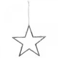 Floristik24 Hængende stjerne, juletræspynt, dekorationsstjerne sølv 11,5 × 12cm 12stk