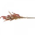 Floristik24 Kunstige planter efterårsdekoration tidsler bær bregner 65cm flok